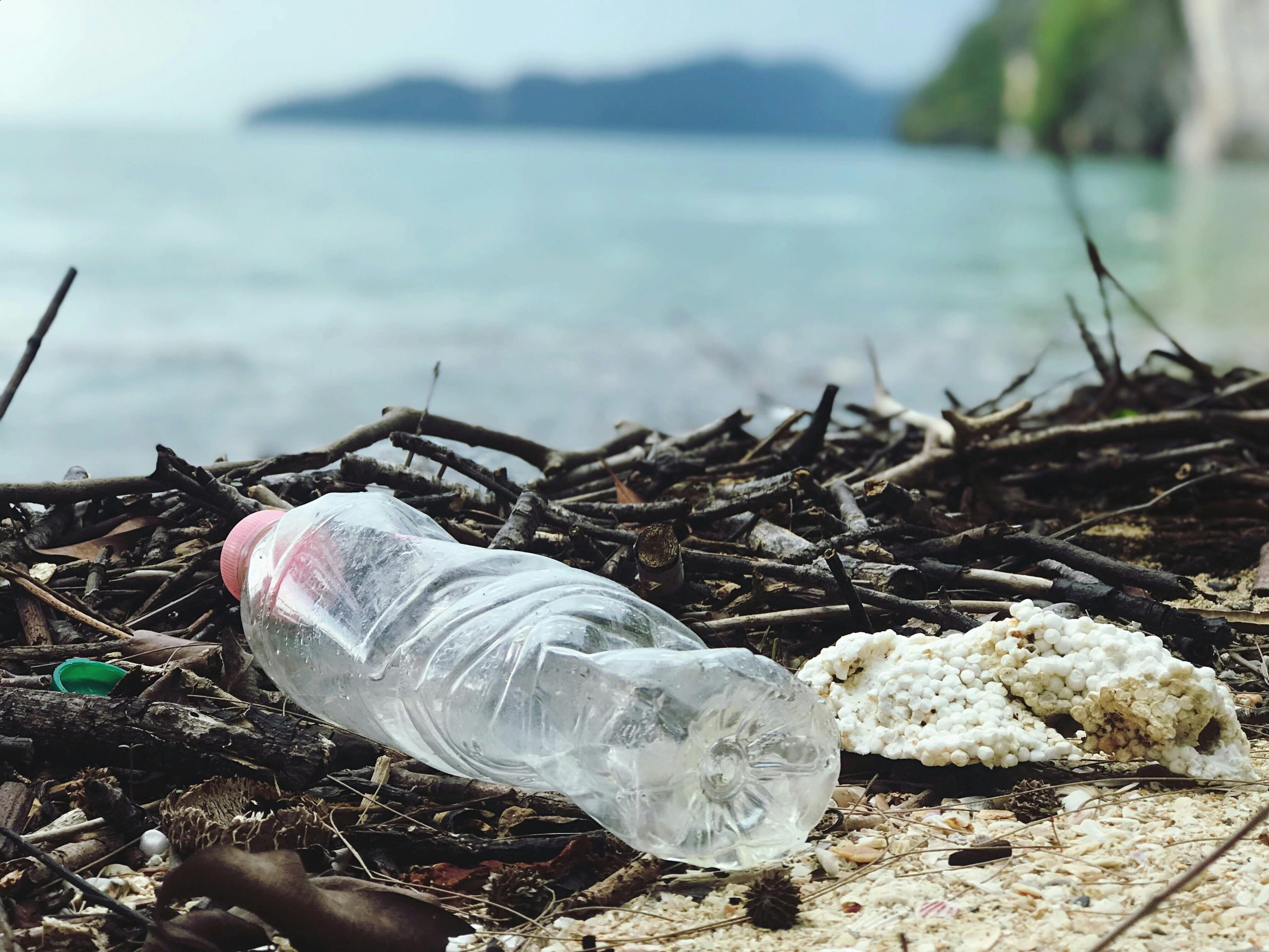 A plastic bottle and polystyrene foam washed up among driftwood on a shoreline