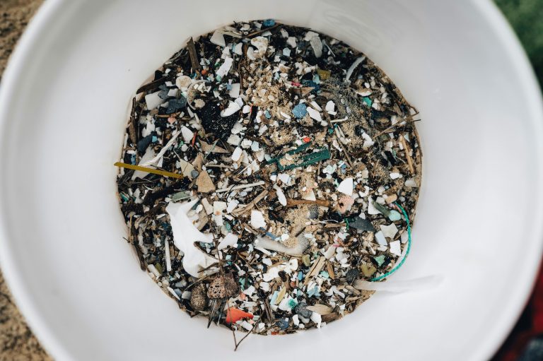 What Microplastics Are Doing to the Brain, Body, and Reproductive Systems