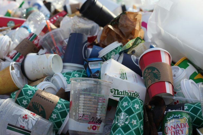 Single-Use Plastics You Haven’t Replaced Yet (And What to Use Instead)