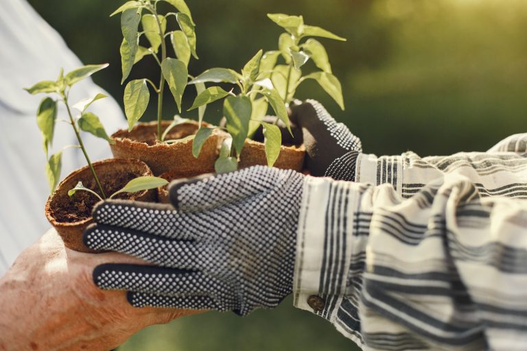 The Plastics Hiding in Your Organic Garden: A Zero-Waste Toolkit for the Harvest
